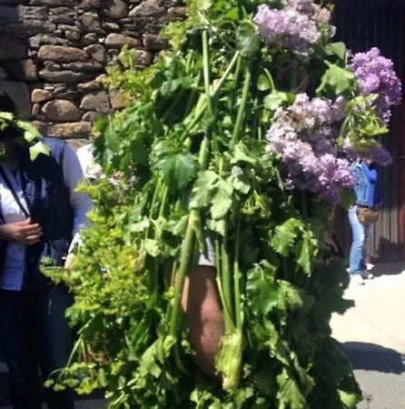 & Restaurante El Casino וילה פרנקה דל ביירסו