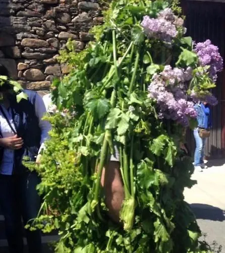 & Restaurante El Casino וילה פרנקה דל ביירסו