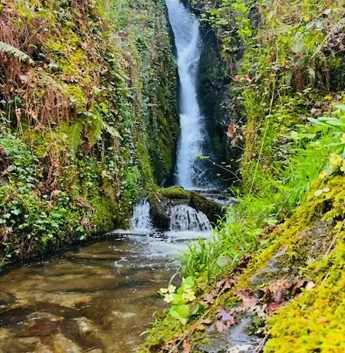 & Restaurante El Casino
